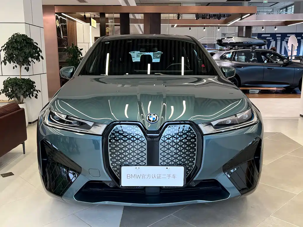 BMW iX — миниатюра 2