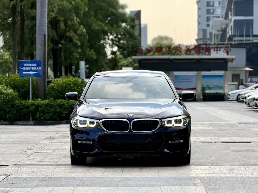 BMW 5 Series — миниатюра 2