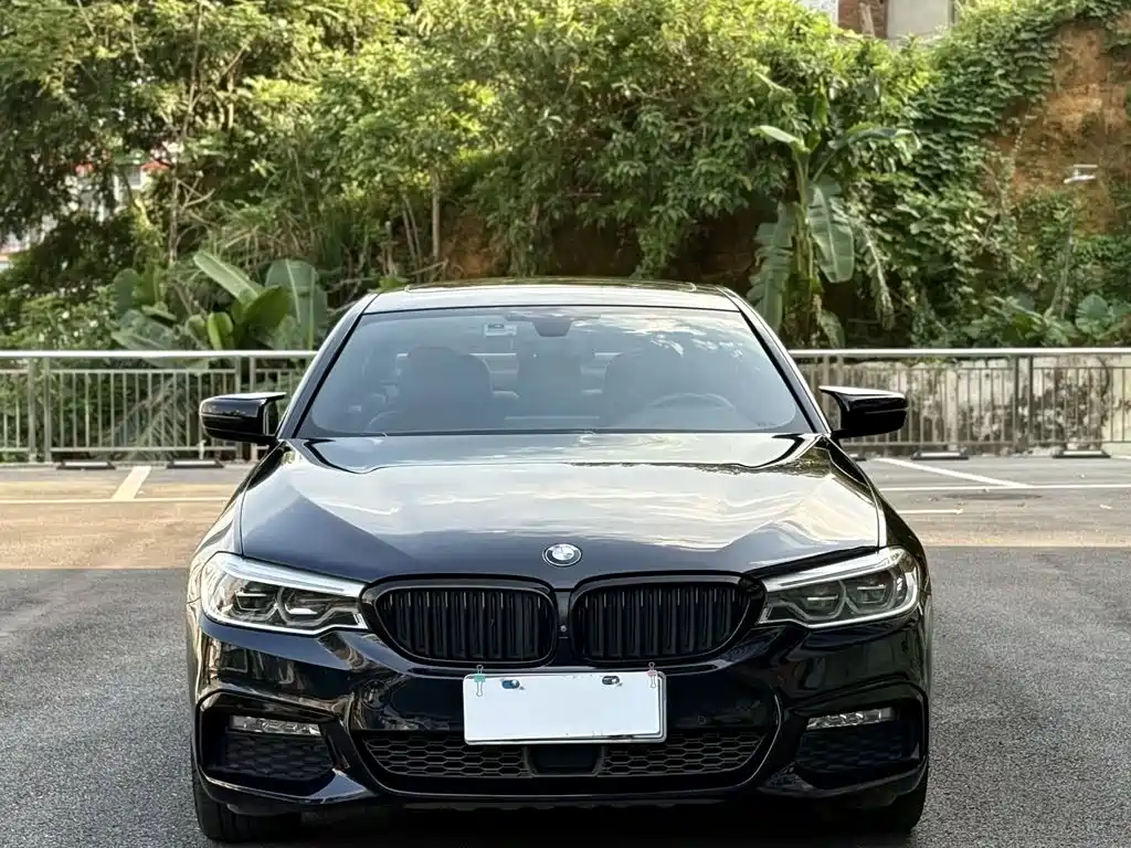 BMW 5 Series — миниатюра 2