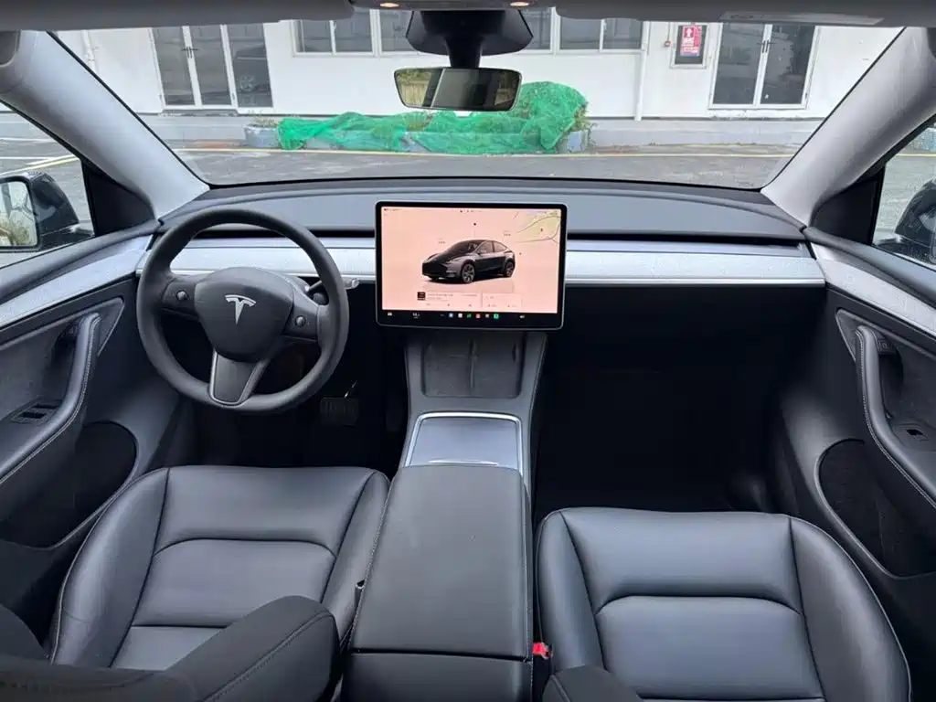 Tesla Model Y — миниатюра 3