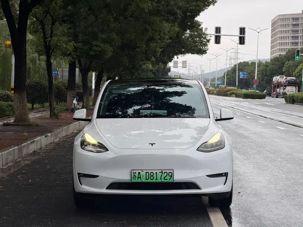 Tesla Model Y — миниатюра 2