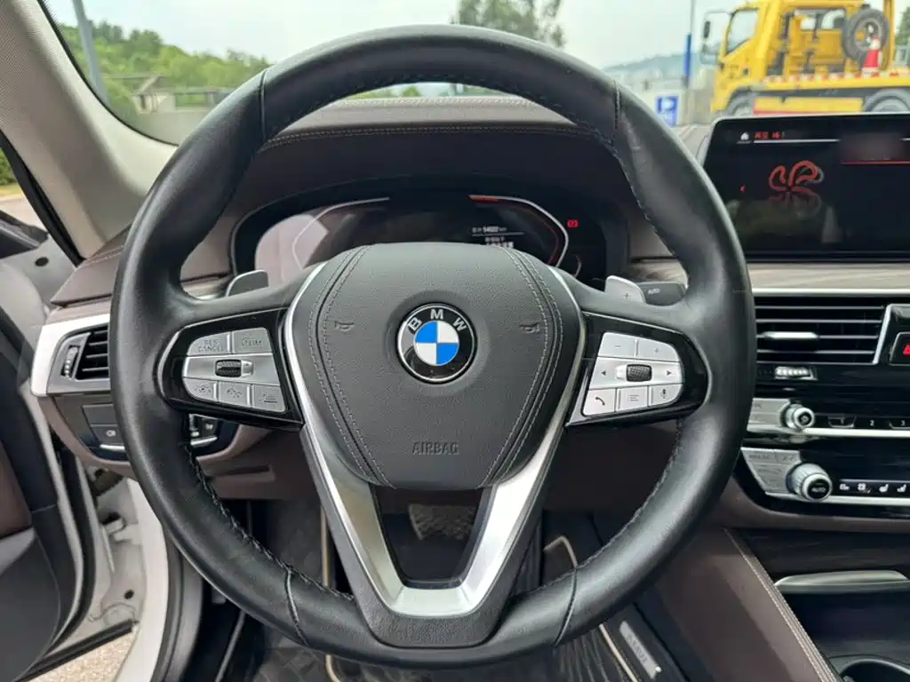 BMW 5 Series 5 2020 530Li Premium Luxury
