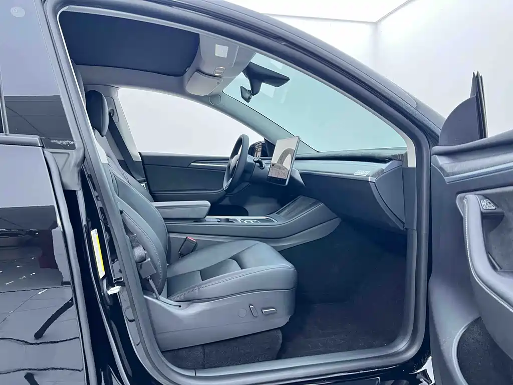 Tesla Model Y — миниатюра 9