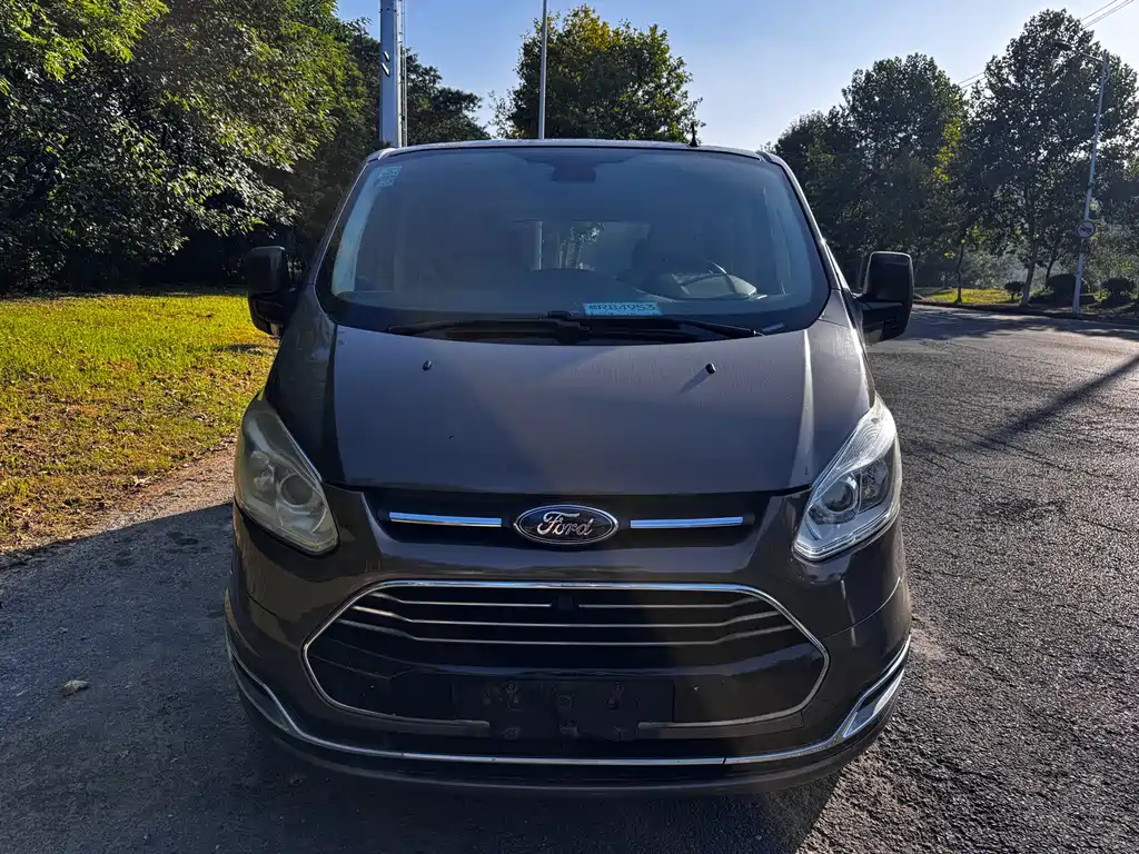 Ford Tourneo — миниатюра 2