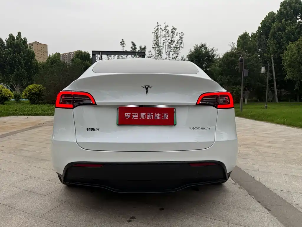 Tesla Model Y — миниатюра 5