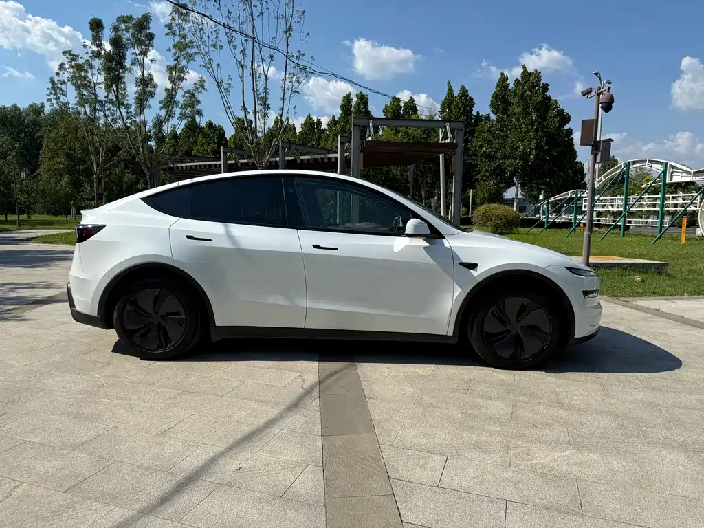 Tesla Model Y — миниатюра 4