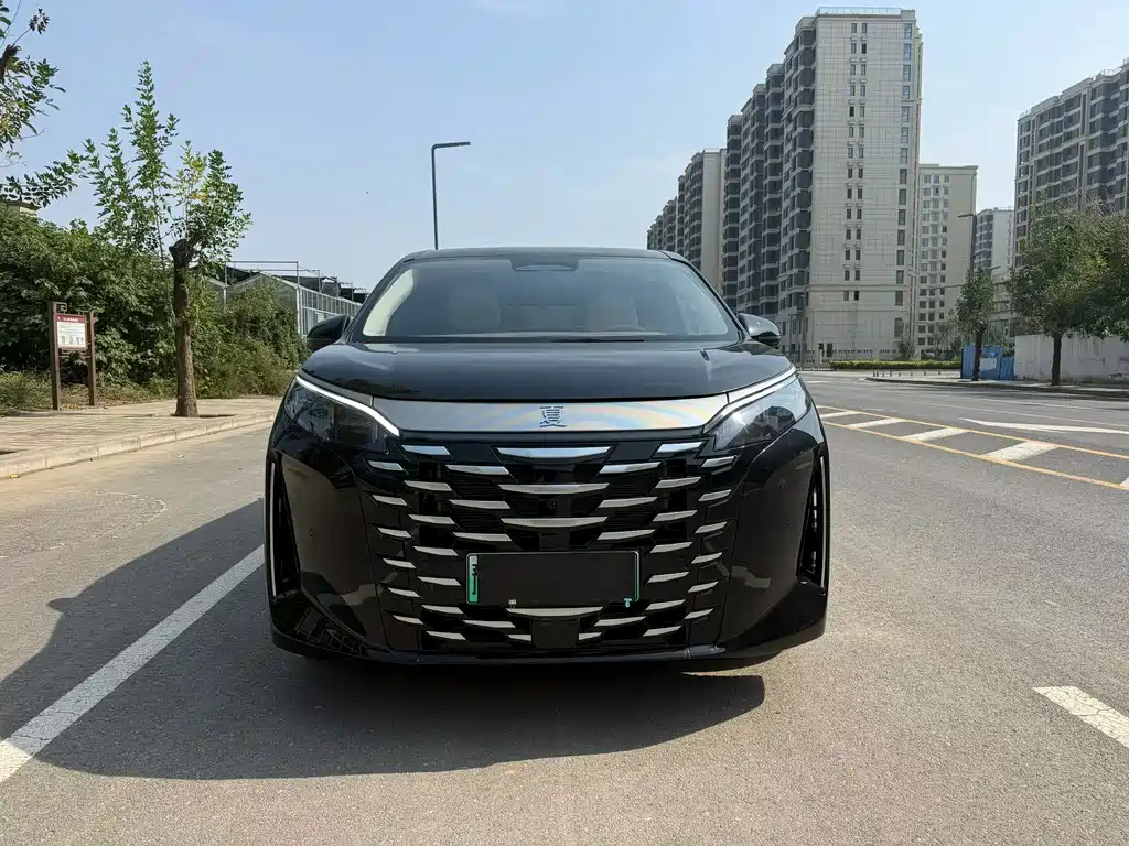 BYD Xia — миниатюра 2