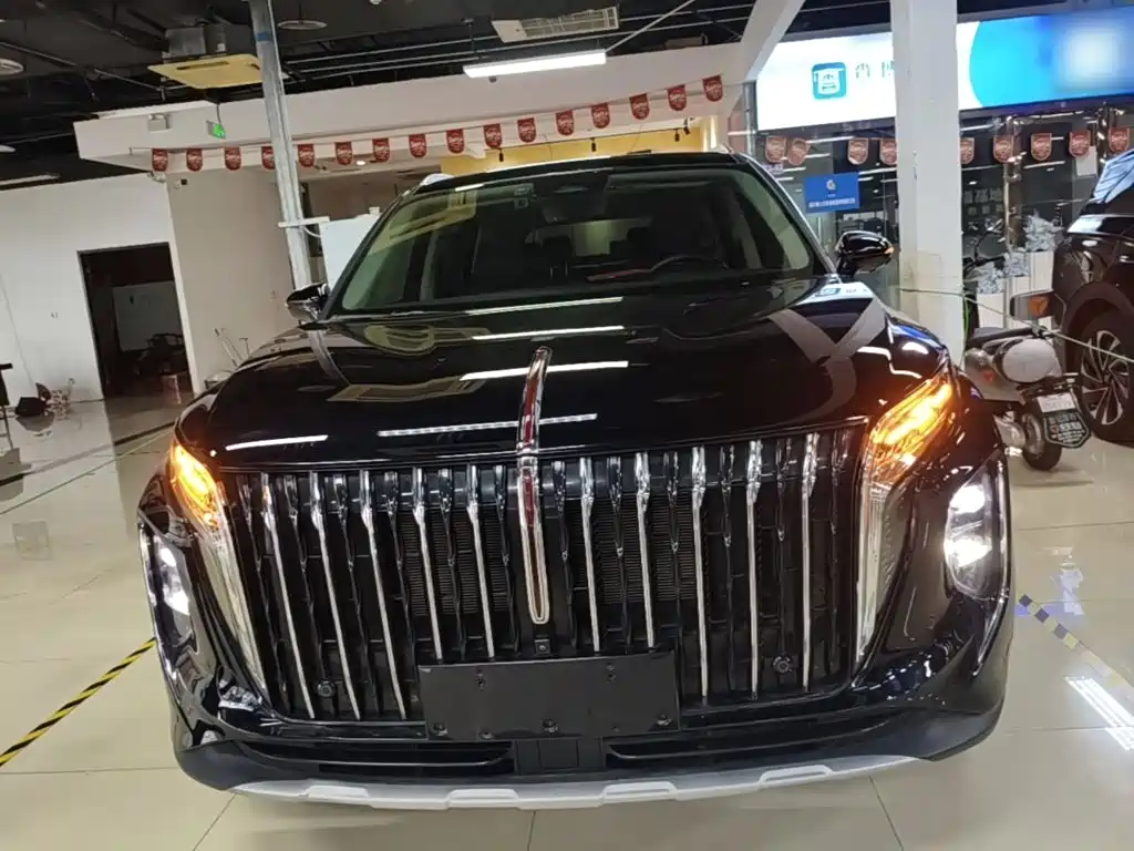 Hongqi Hongqi HS7 PHEV — миниатюра 3