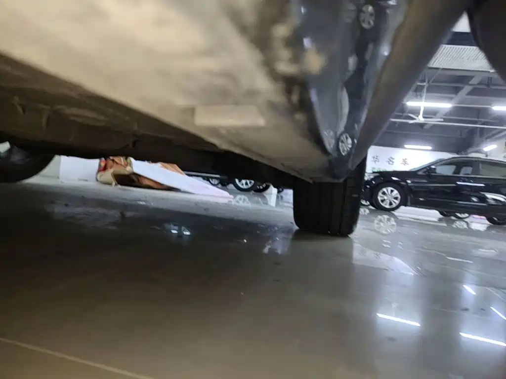 GAC Motor Shadow Leopard — миниатюра 22