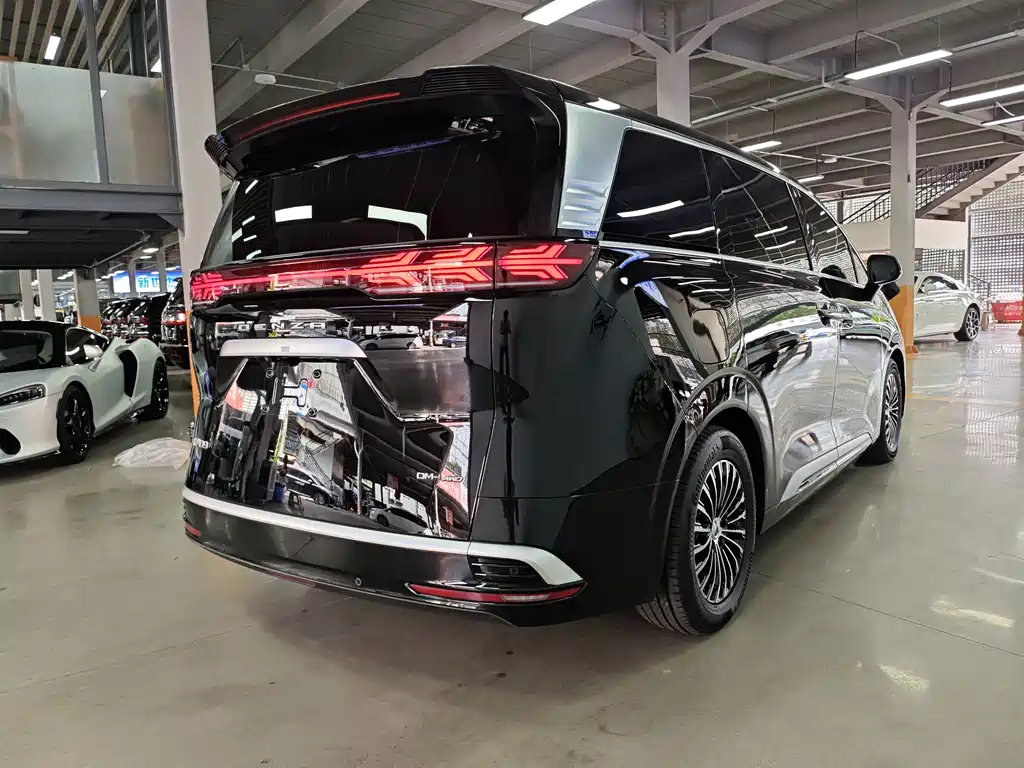 Denza Denza D9 — миниатюра 14