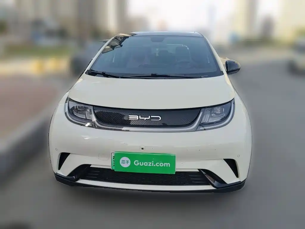 BYD Dolphin — миниатюра 2