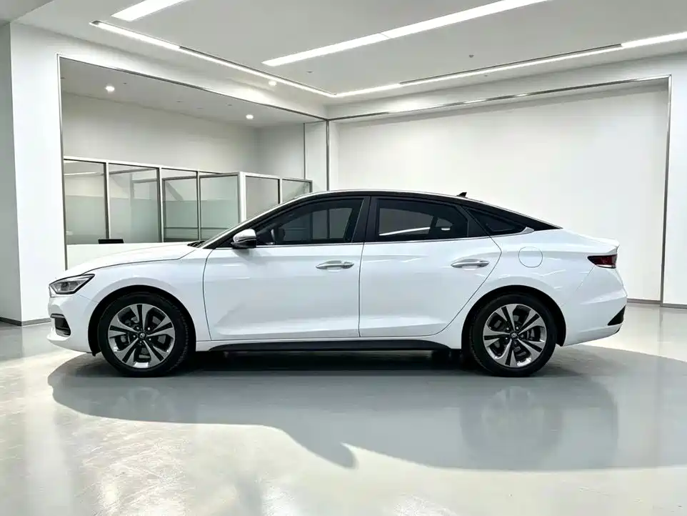 Hyundai Fista — миниатюра 3