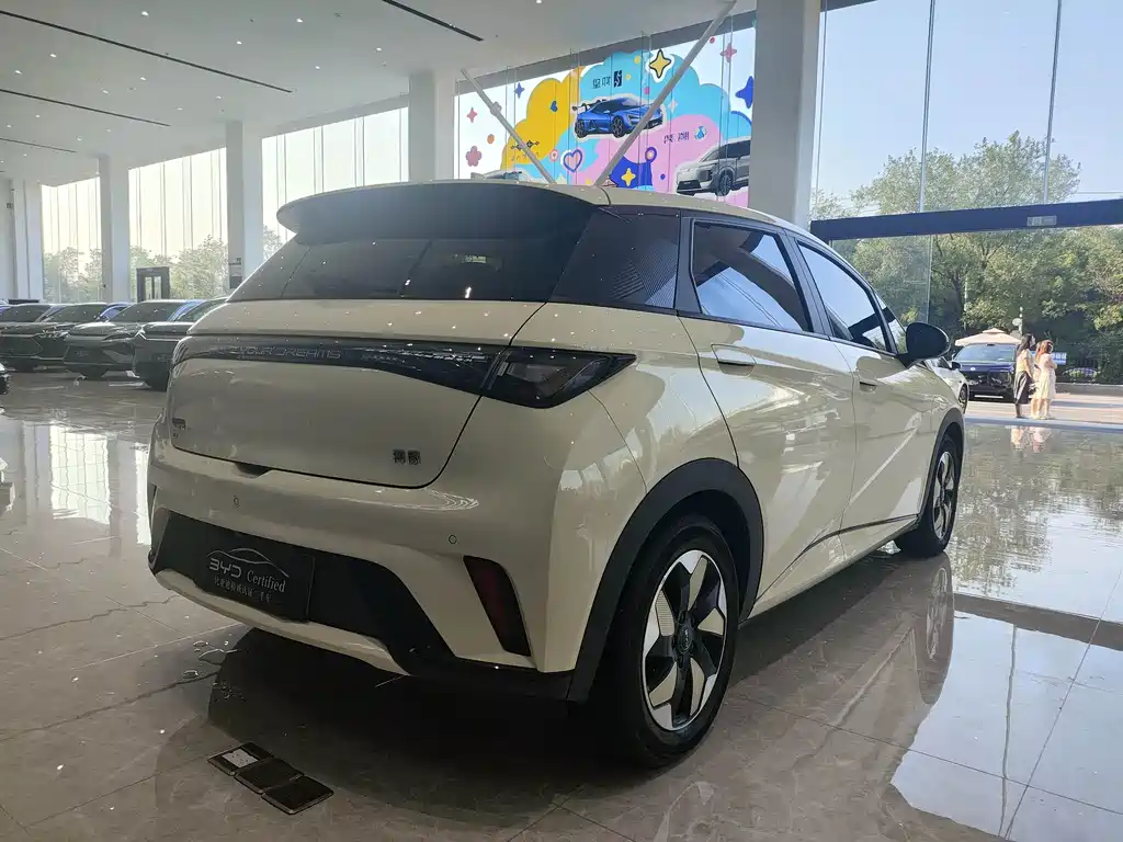 BYD Dolphin — миниатюра 5