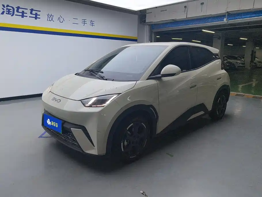 BYD Seagull