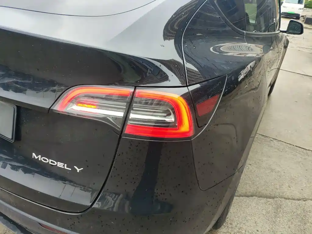 Tesla Model Y — миниатюра 8