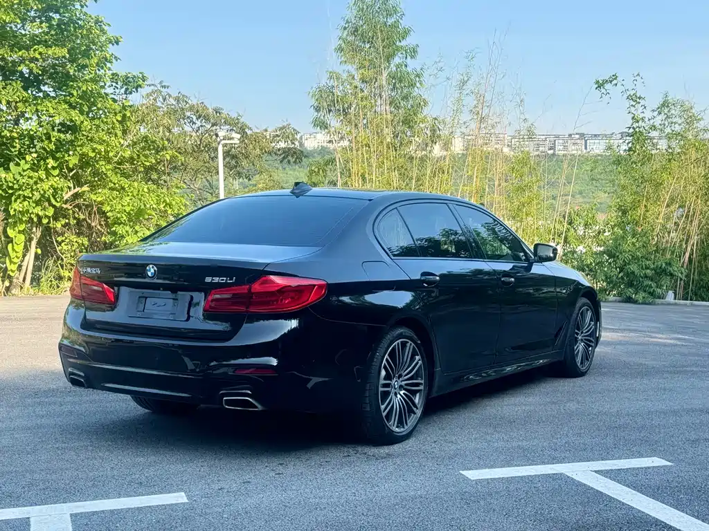 BMW 5 Series — миниатюра 3