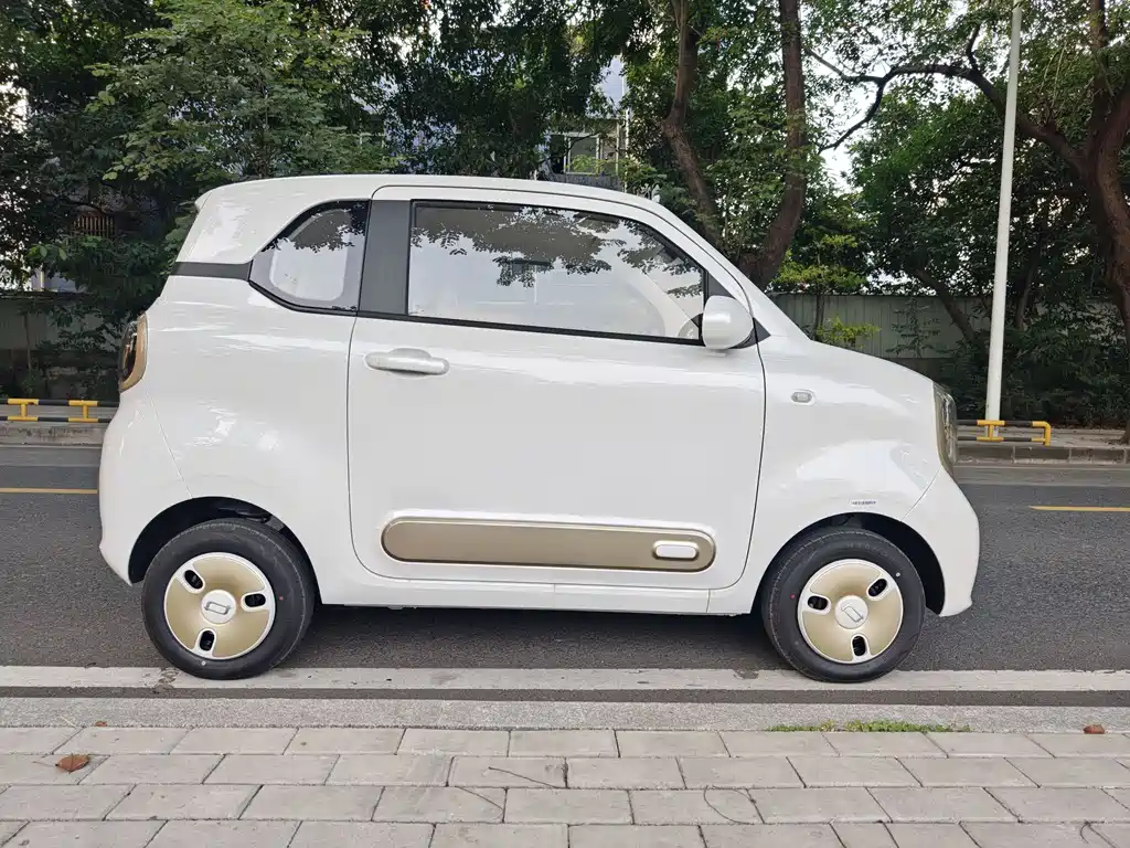 BESTUNE PENTIUM PONY