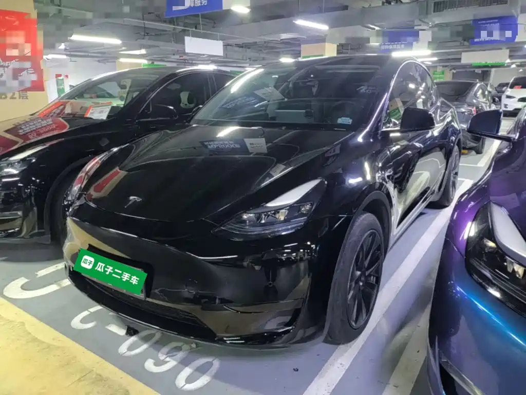 Tesla Model Y — миниатюра 2