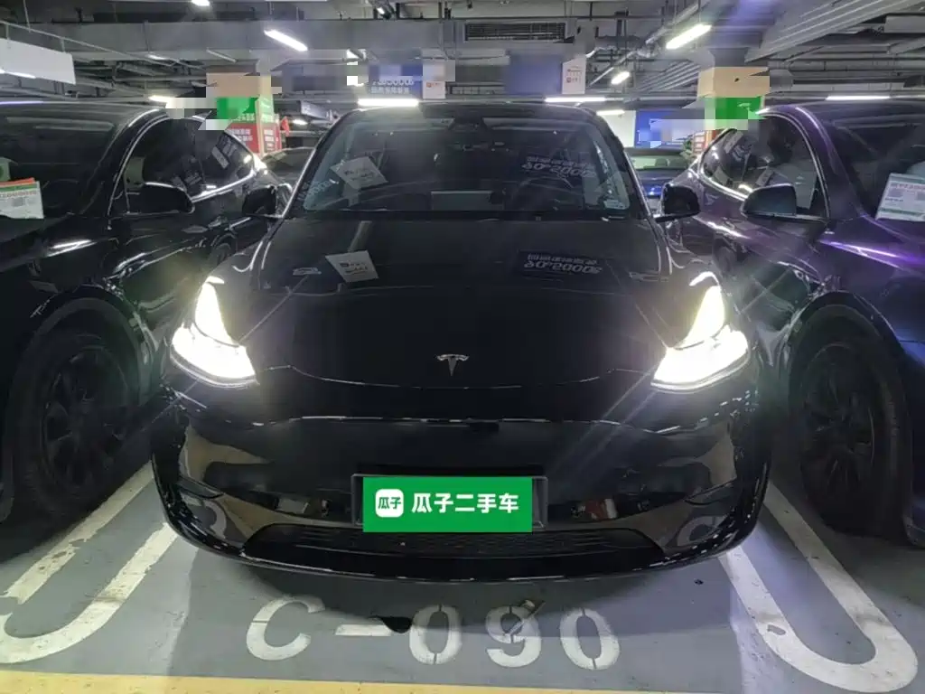 Tesla Model Y — миниатюра 3