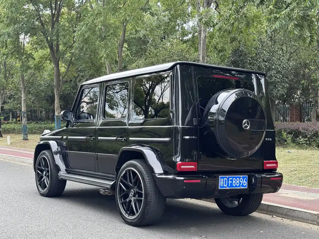 Mercedes-Benz G-Class G 2010 G 500