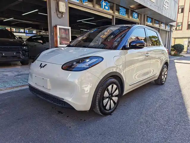 WULING WULING BINGGUO 2023