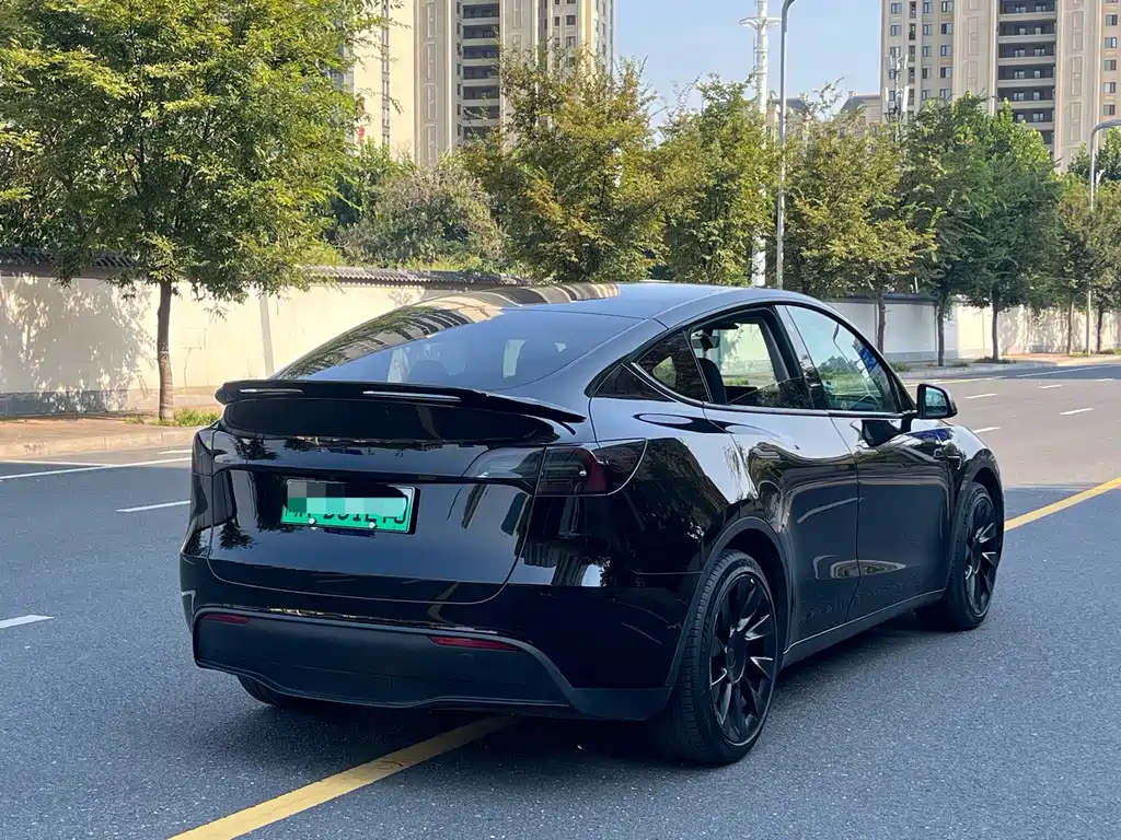 Tesla Model Y — миниатюра 8