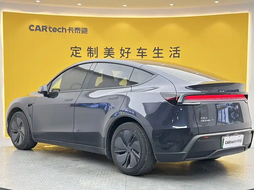 Tesla Model Y — миниатюра 6