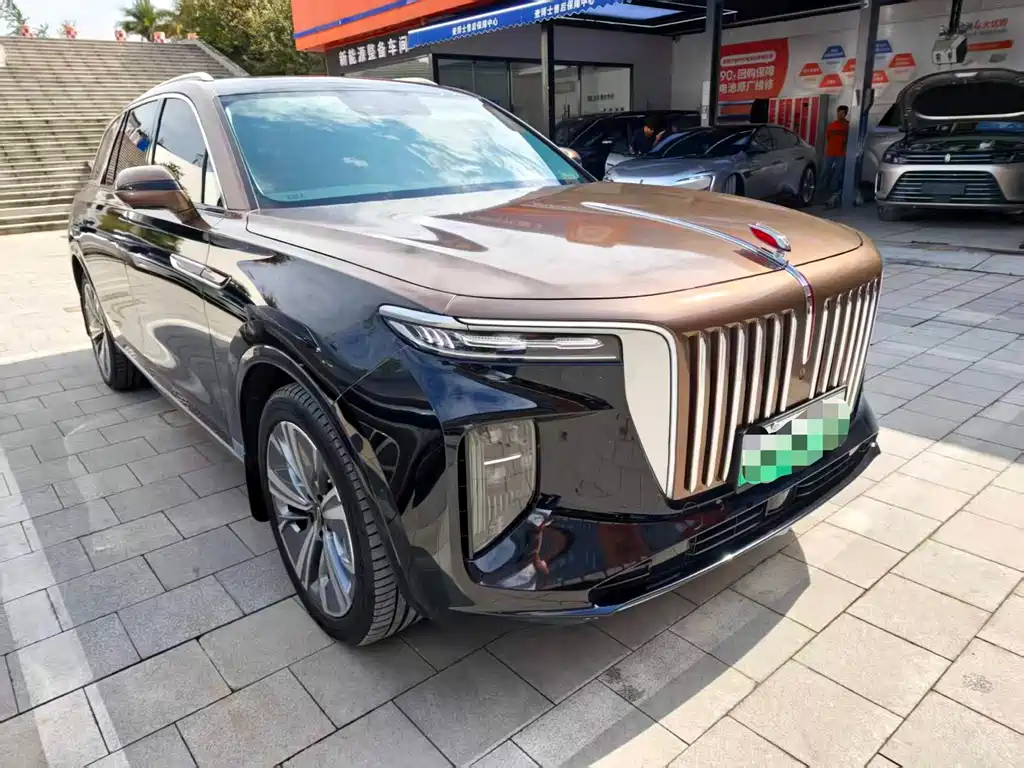 Hongqi Hongqi E-HS9 — миниатюра 3