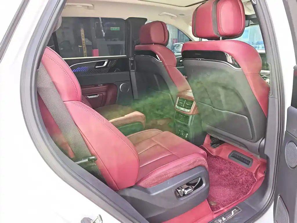 Hongqi Hongqi E-HS9 — миниатюра 9