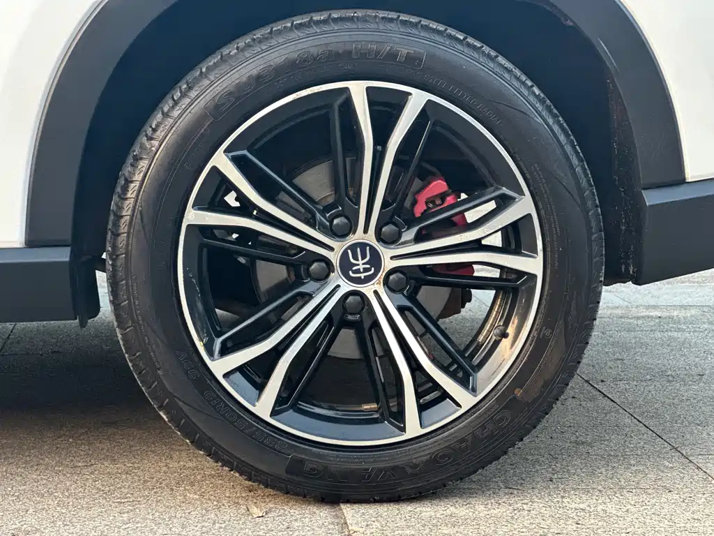 BYD PLUS — миниатюра 22