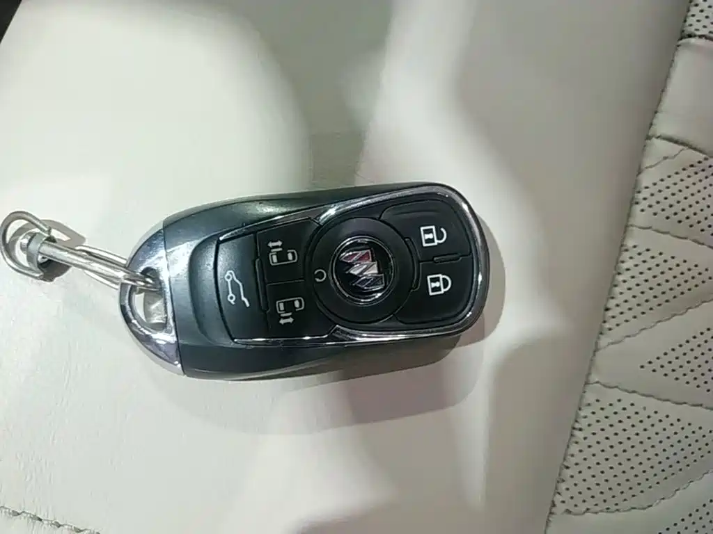 Buick GL8 — миниатюра 9