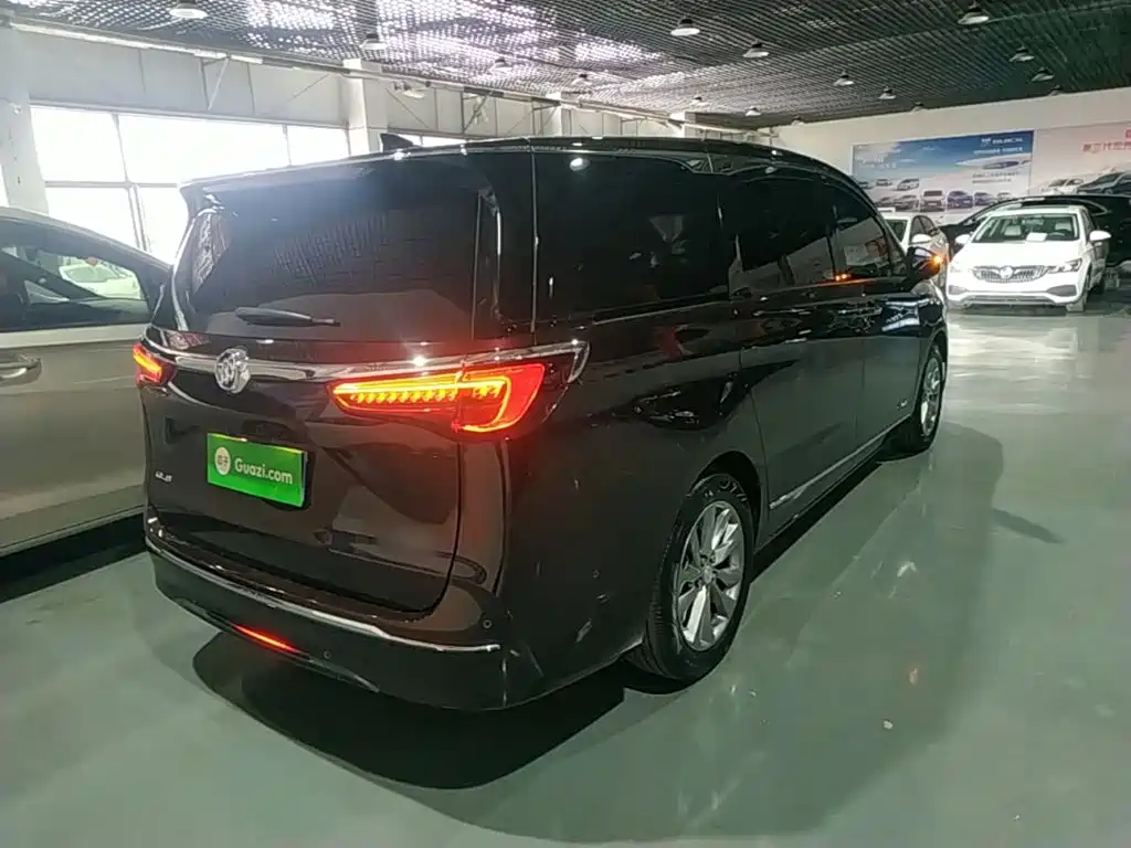 Buick GL8 — миниатюра 7