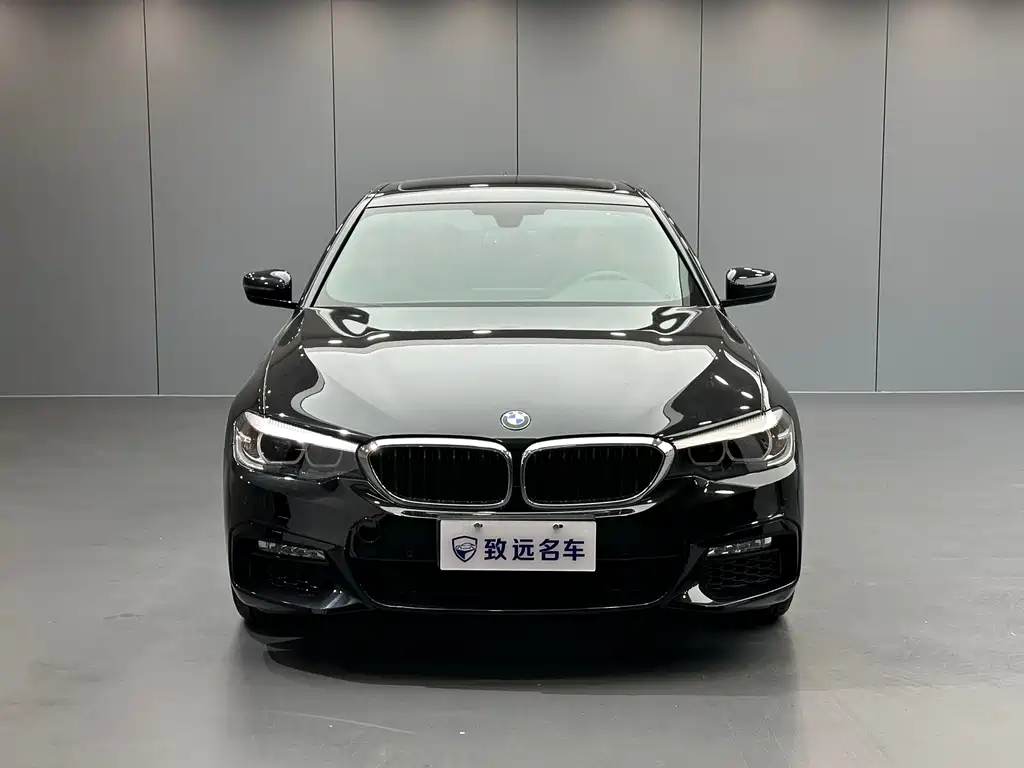 BMW 5 Series — миниатюра 2