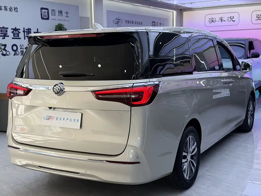 Buick GL8 — миниатюра 11