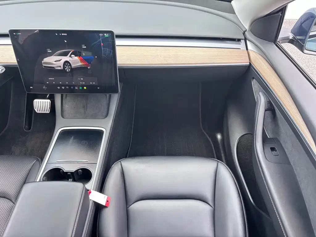 Tesla Model Y — миниатюра 15