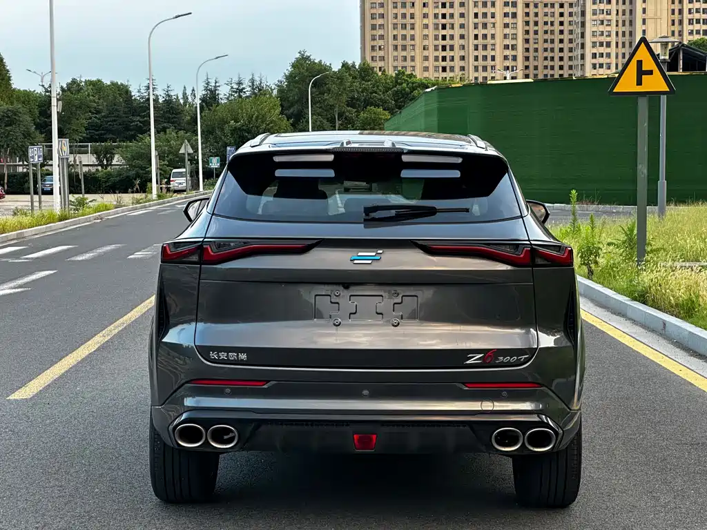 Oshan Oushang Z6 — миниатюра 11