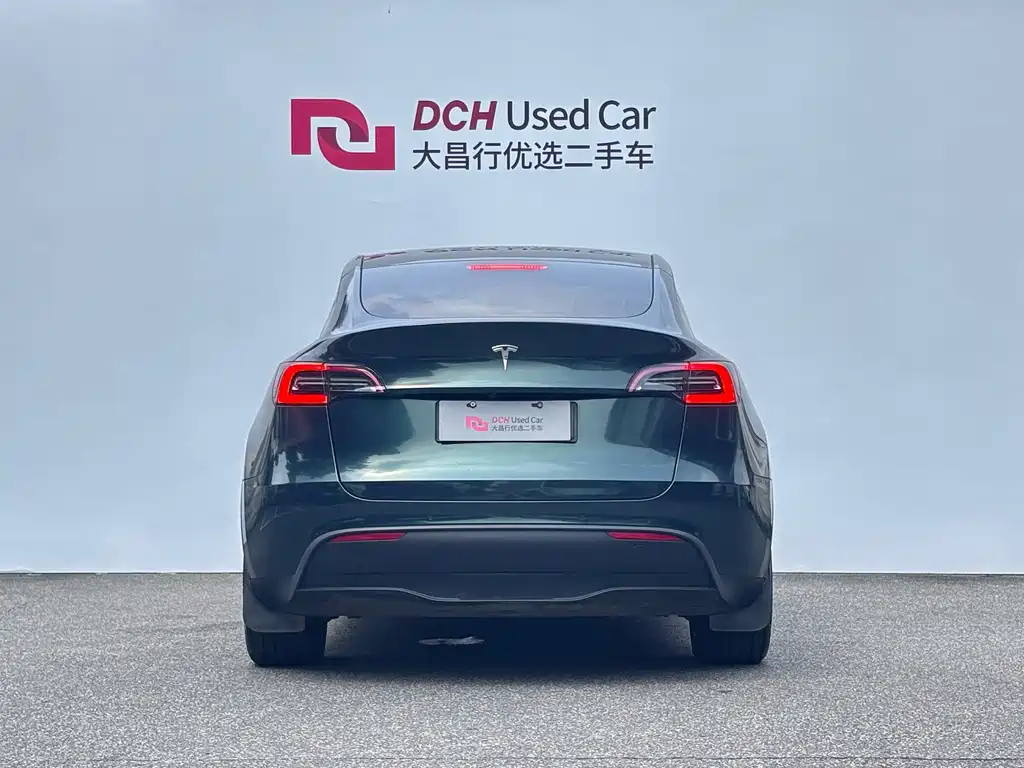 Tesla Model Y — миниатюра 4