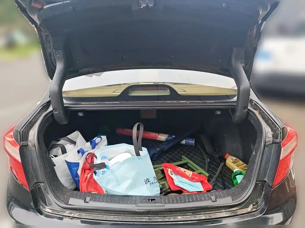 Haima Морской конь M8 — миниатюра 20
