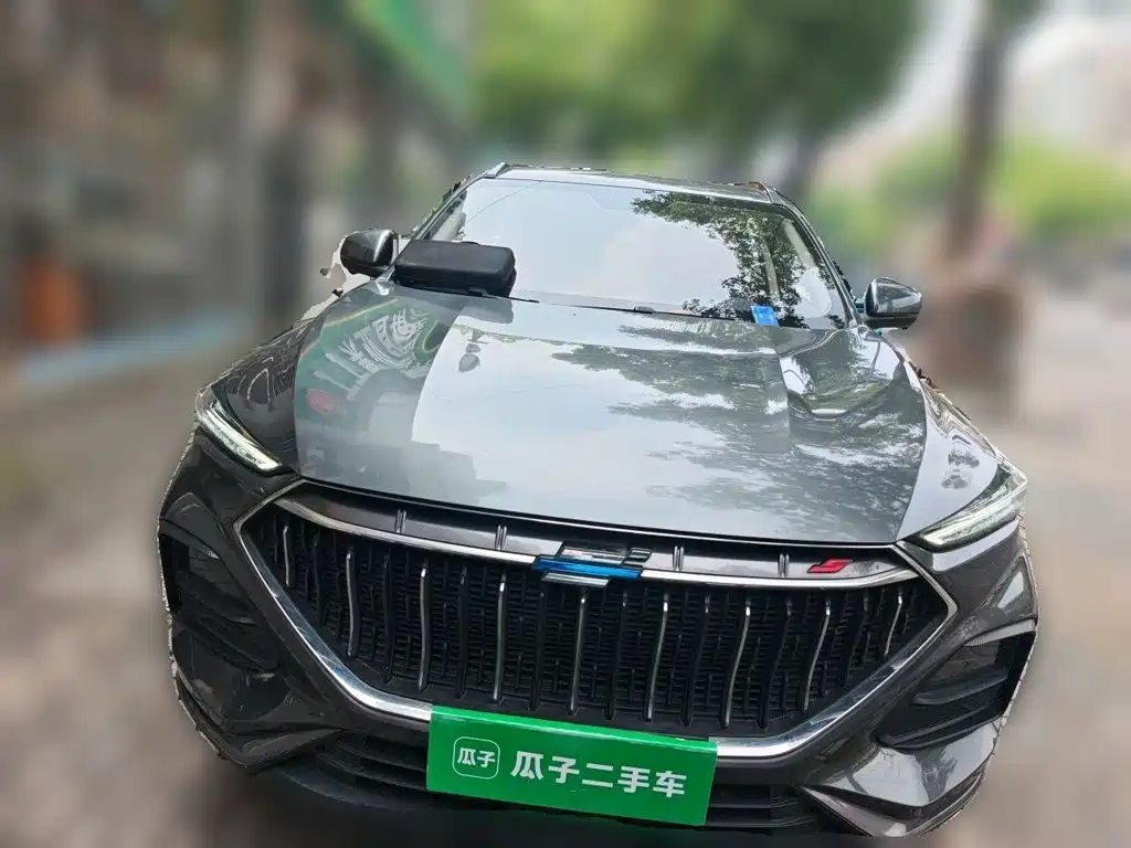 Oshan Oushang X5 — миниатюра 23