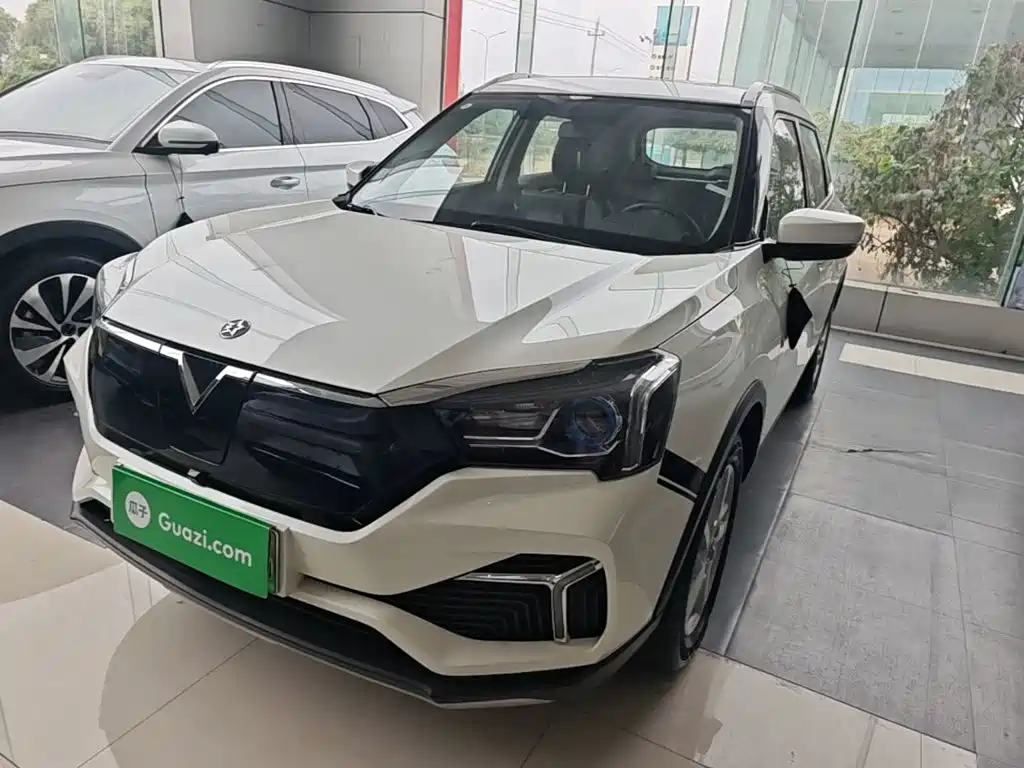 Venucia T60 EV — миниатюра 2