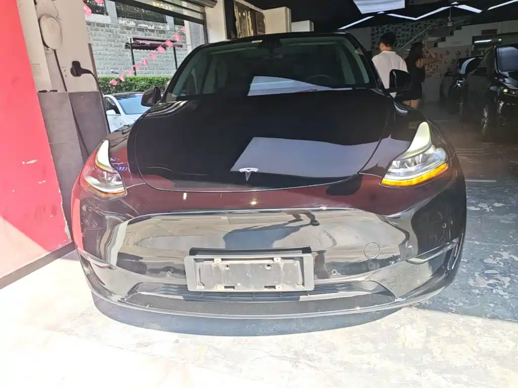 Tesla Model Y — миниатюра 3