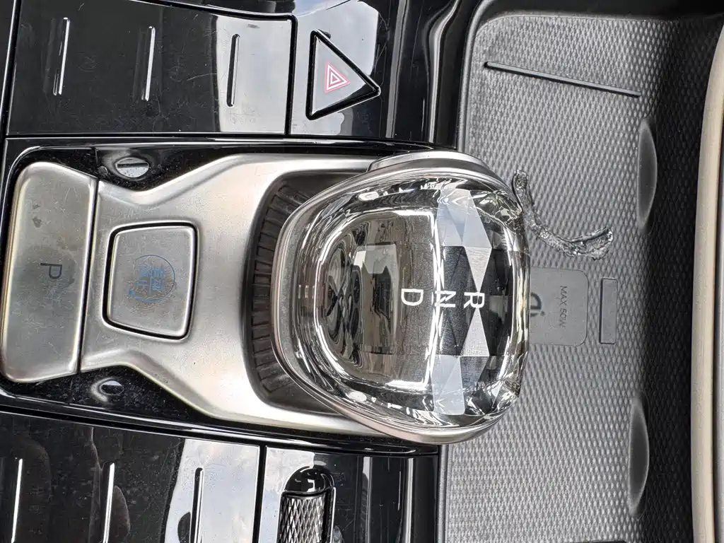 Denza Denza D9 — миниатюра 16