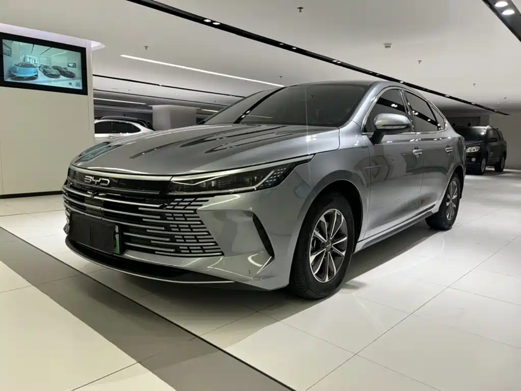 BYD Destroyer 05 2024 DM-i 55KM Luxury