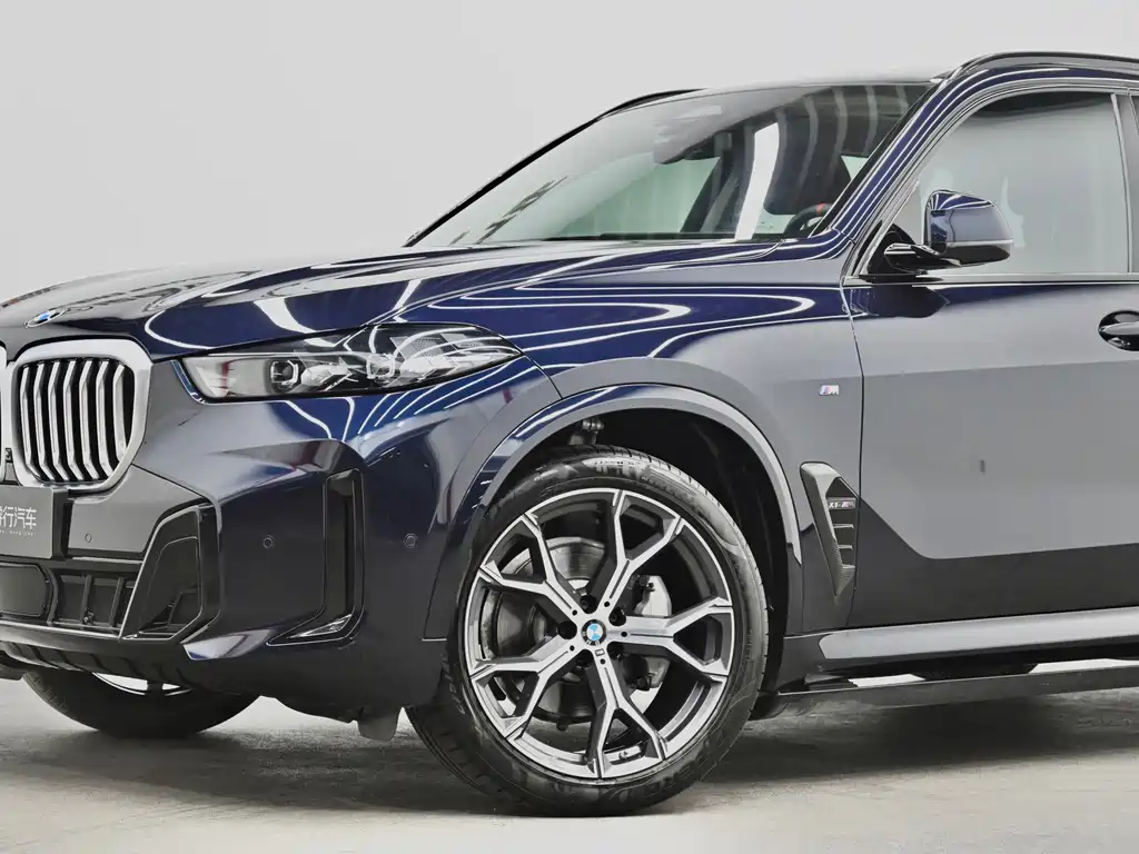 BMW X5 — миниатюра 26