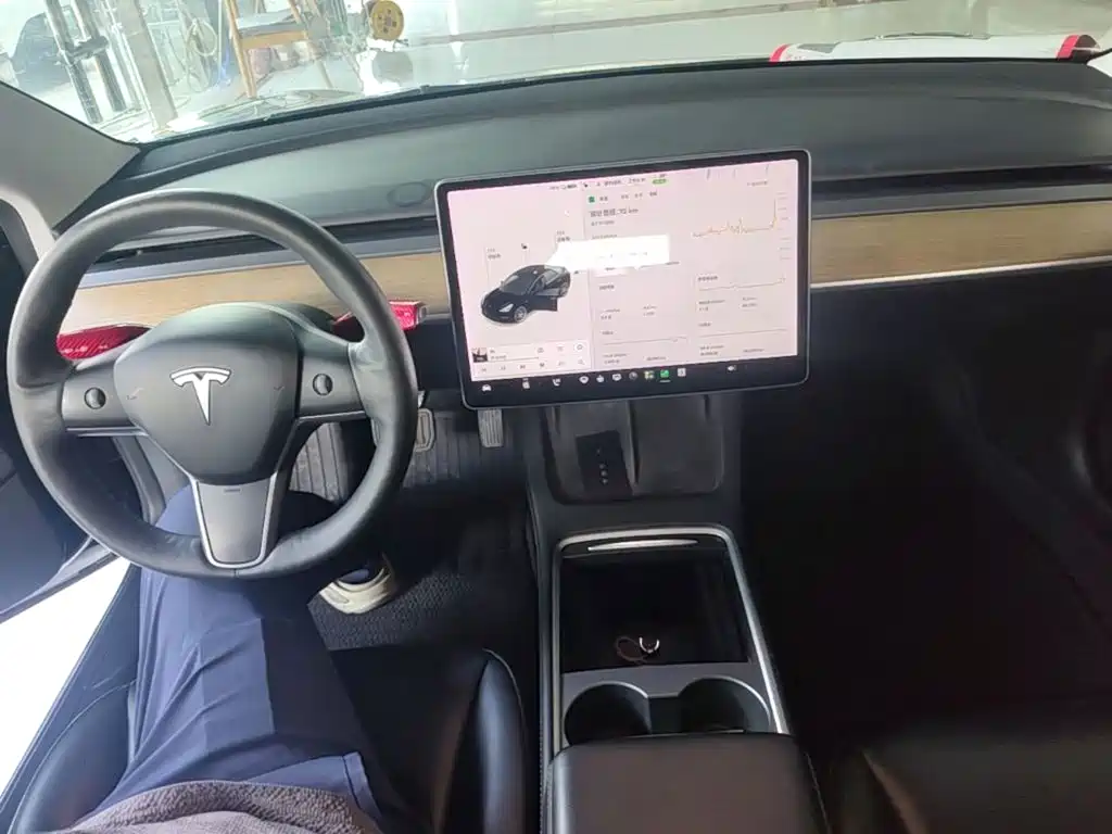 Tesla Model 3 — миниатюра 10