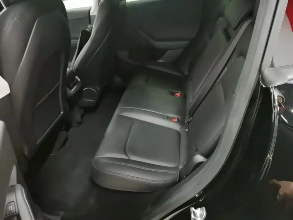 Tesla Model Y — миниатюра 17