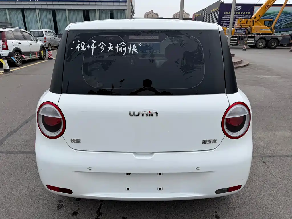 Qiyuan Lumin — миниатюра 3