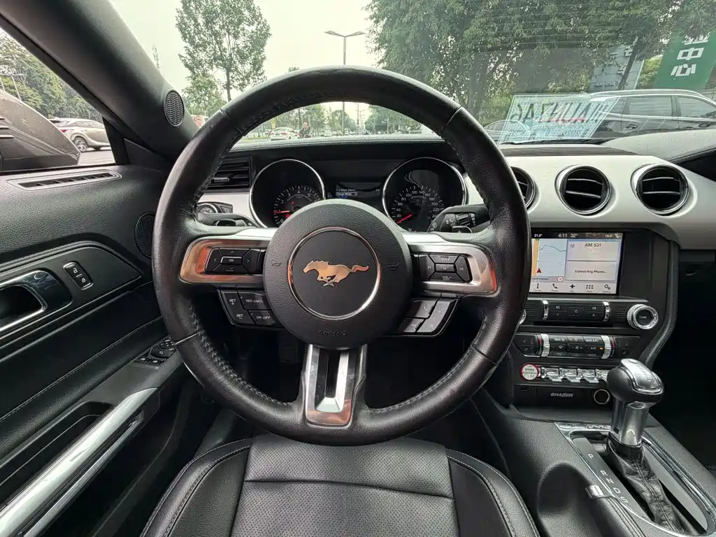Ford Mustang — миниатюра 12