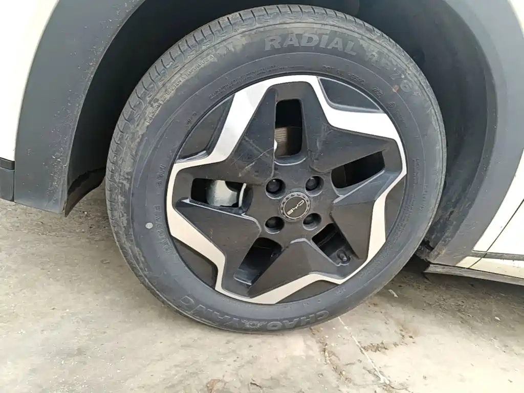 BYD Dolphin — миниатюра 23