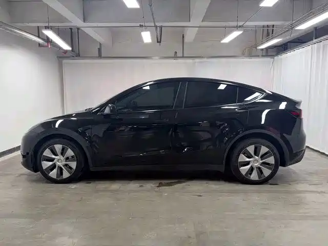 Tesla Model Y — миниатюра 5